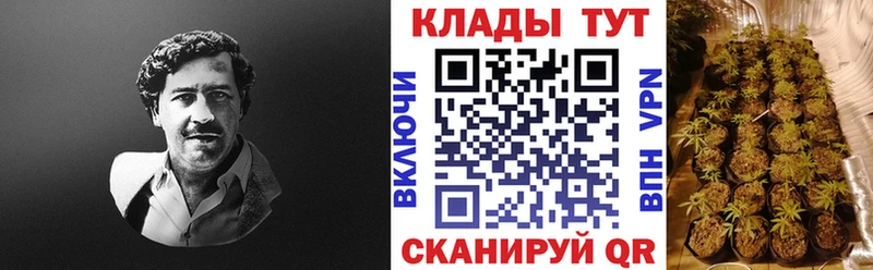 Купить наркотик Великий Новгород Гашиш  Кокаин  Alpha-PVP  Марихуана  Меф мяу мяу 