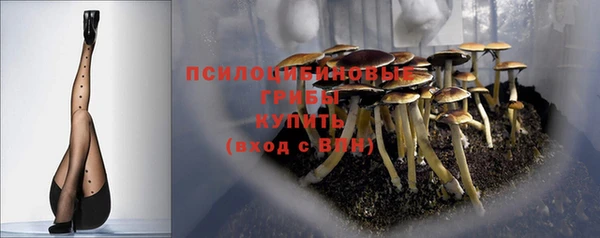 первитин Каменногорск