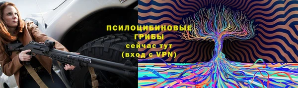 ешки Каменск-Шахтинский