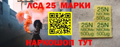 прущие грибы Будённовск