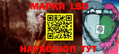 прущие грибы Будённовск