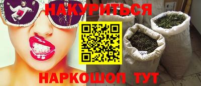 прущие грибы Будённовск