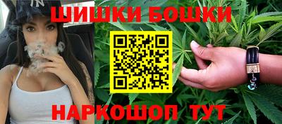 прущие грибы Будённовск