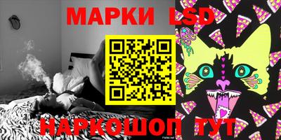 прущие грибы Будённовск