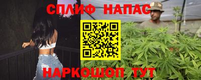 прущие грибы Будённовск