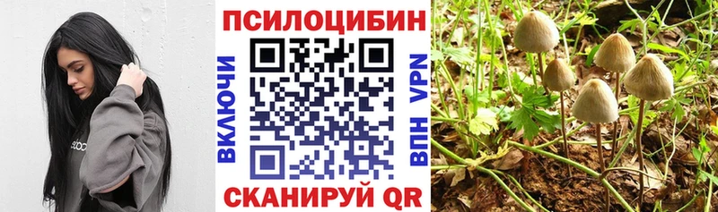 Галлюциногенные грибы мухоморы  ссылка на мегу ТОР  Великий Новгород 