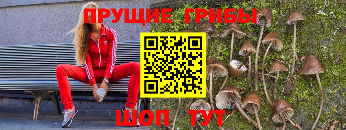 Псилоцибиновые грибы MAGIC MUSHROOMS Великий Новгород