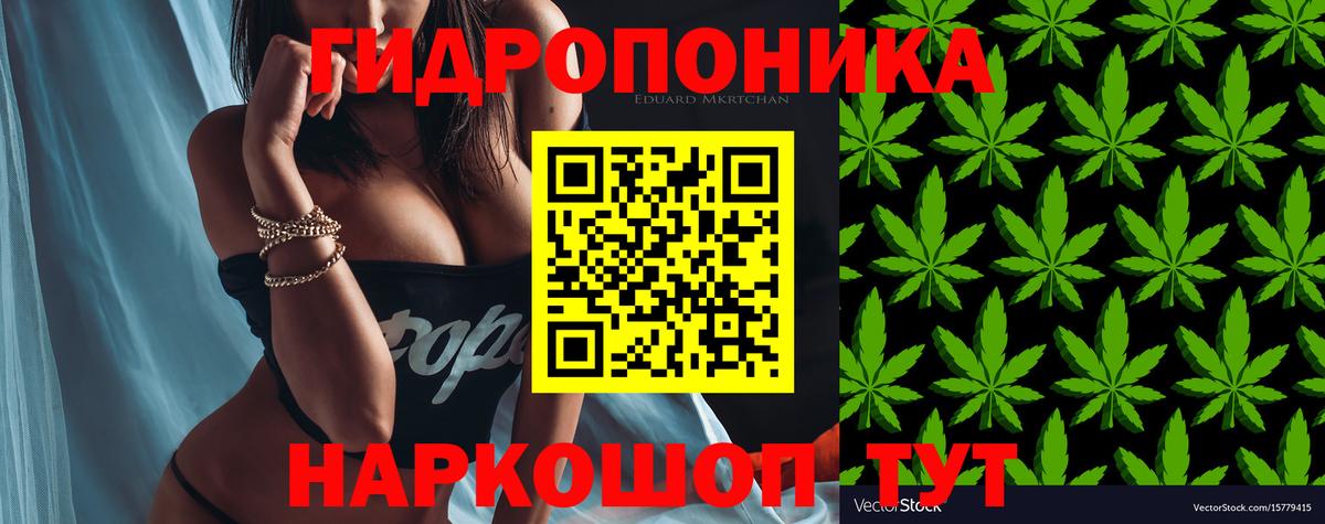Бошки марихуана OG Kush  Каннабис AK-47  Конопля White Widow  Великий Новгород 